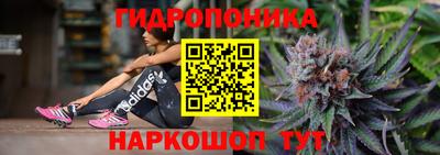 сатива Новокубанск