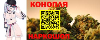 сатива Новокубанск