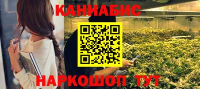 сатива Новокубанск